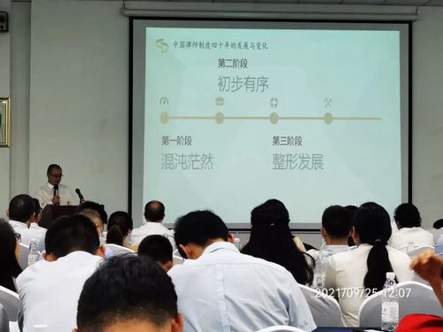 青年律師成長之路 四川瀛領禾石律師事務所舉辦專題培訓，助力法律人才專業化發展